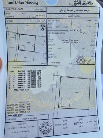 للبيع ارض زراعية فضاء ممتازة في ولاية بركاء الرميس الشمال