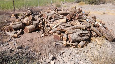 حطب سمر للبيع