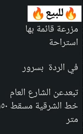 ارض زراعيه في ولاية سمائلسرور