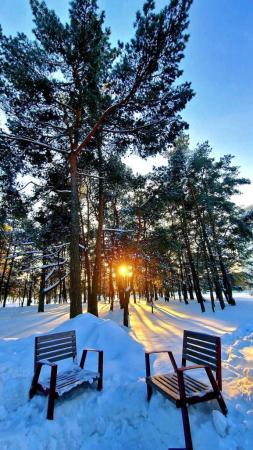 فرصة للبيع شقة بولاية بوشر شارع المها