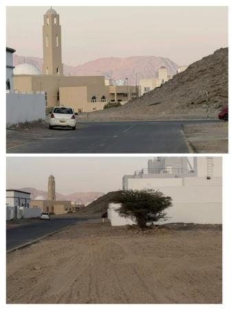 ارضين شبك في مرتفعات العامرات السادسه للبيع