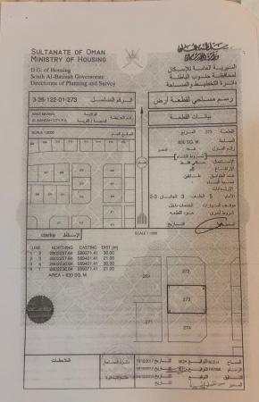 وادي المعاول الواسط الفرعه