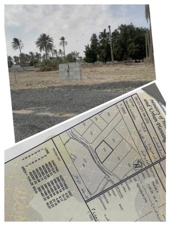 ارض زراعيه للبيع في ولاية صحار