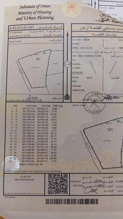 للبيع ارض زراعية فضاء ممتازة في ولاية السنينة
