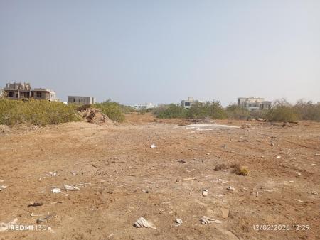 للبيع ارض سكينة في المنومة الشمال قريب مشروع يامال