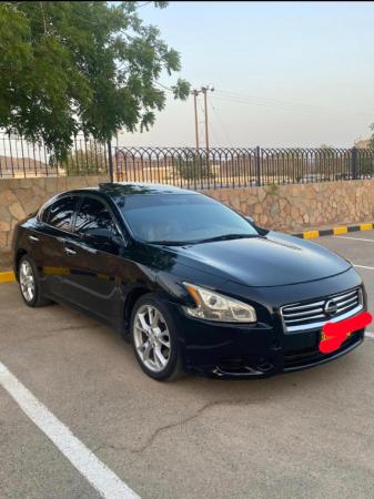 نيسان مكسيما 2013