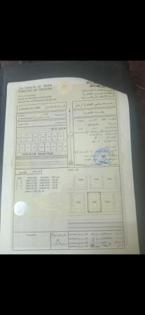 ٣ اراضي شبك للبيع في المعمورة ٣