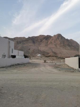 بيعه مستعجله قبل العيد ارخص ارض بالعامرات