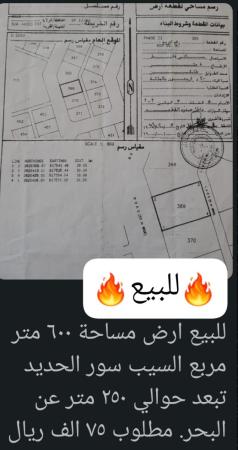 ارض تبعد عن البحر 250متر فقط للبيع في سور ال حديد ولايةالسيب