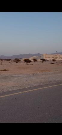 ركز على جمال الموقع ارض للبيع في الحشيه الاولى العامرات