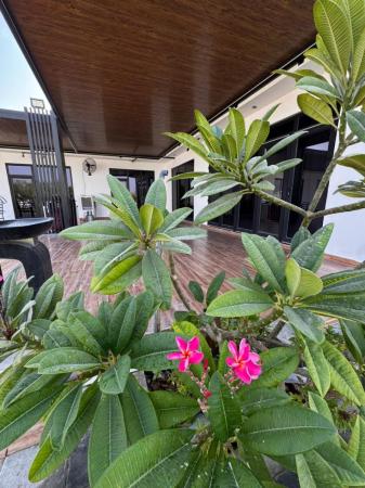 فرصة للبناء والأستثمار للبيع أرض صناعية بالجفنين