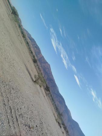 ارض تصلح لجميع الاغراض السياحية والزراعية بالعامرات