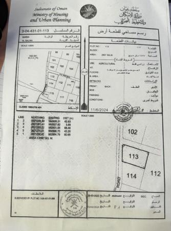 للبيع ارض زراعية فضاء ممتازة في ولاية بركاء سلوى