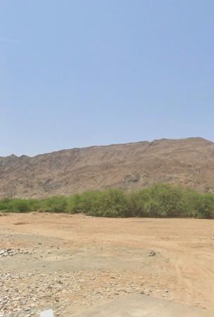 بيعه مستعجله اكبر مزرعه بمسقط يمنطقه سياحيه