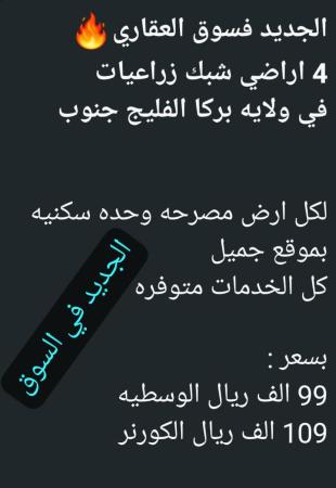 4 اراضي شبك زراعيه للبيع في ولاية بركاء الفليج