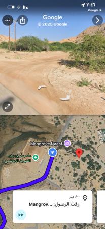 بيعه مستعجله ارخص ارض زراعيه بمسقط