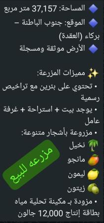 مزرعه للبيع في ولاية بركاء