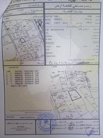 أرض زراعية للبيع في صحم