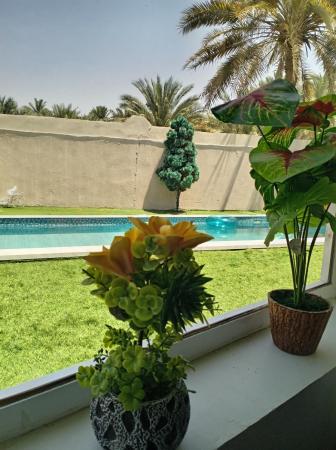 فله قرب حجره الشيخ