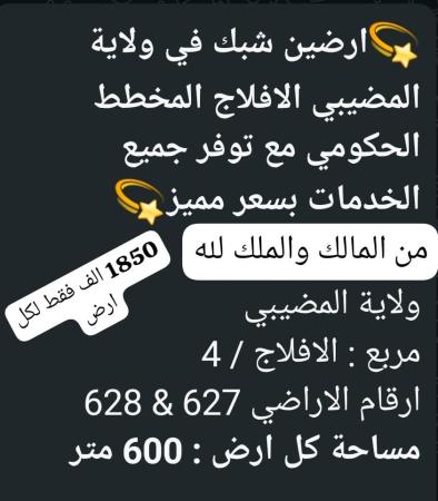 ارضين شبك في المضيبي الافلاج للبيع