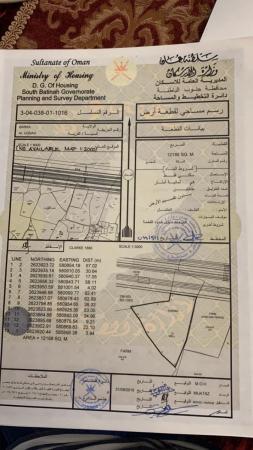 بركاء مسقط الكبري علي الشارع العام البحري