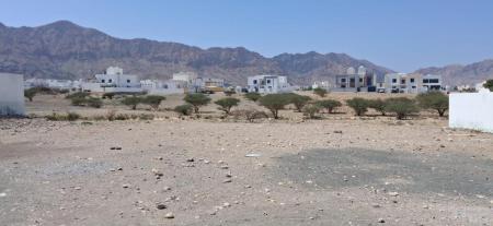 للبيع ارض سكينة في مرتفعات العامرات التاسعة
