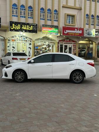 كرولا وارد