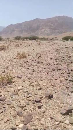 للبيع ارض سكينة في العامرات مدينة النهضة امتداد الاول