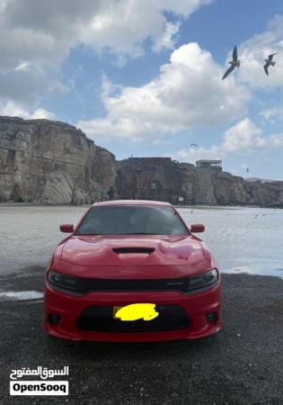 مسندم. خصب