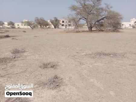 فرصة استثمارية أرض سكني تجاري مميزة للبيع في صحم المرفع