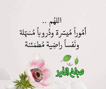 مسقط الموالح