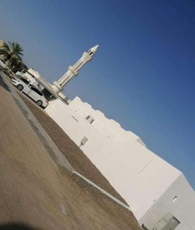 البريمي الخضراء الجديدة