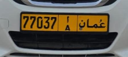 77037