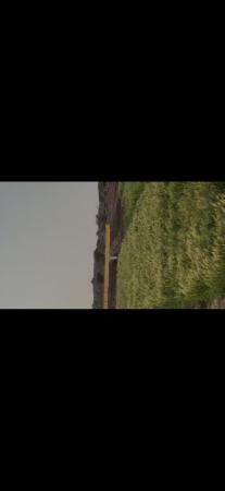 ارض زراعيه للبيع في المضيبي
