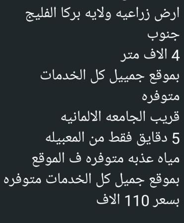 ارض زراعيه للبيع في ولاية بركاء الفليج