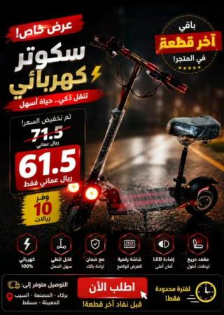 سكوتر Winnersky الاكهبائي
