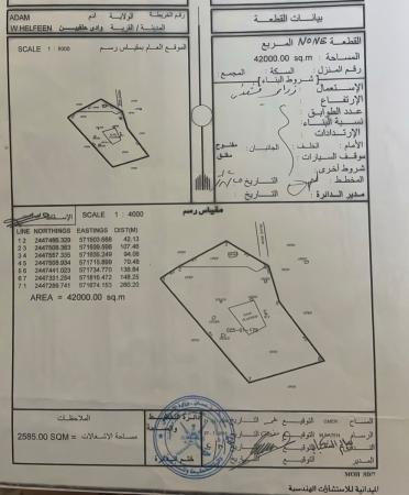 مزرعه للبيع ولاية ادم وادي حلفين مساحتها42000 متر