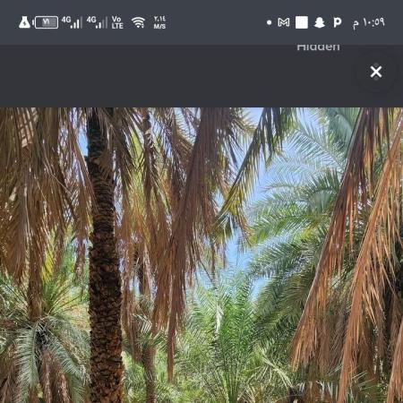 مزرعتين للبيع في بوشر صنب