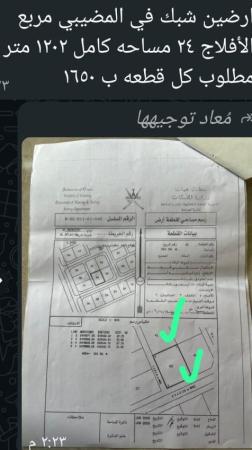 ارضين شبك للبيع في المضيبي الافلاج