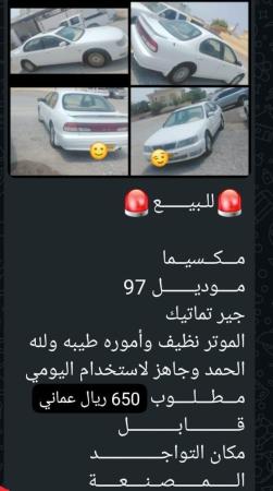 مكسيما للبيع