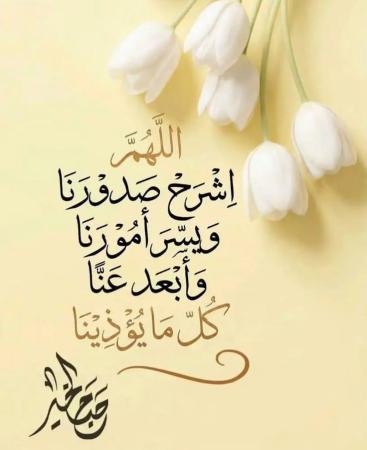 العامرات