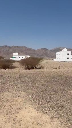 للبيع ارض سكنية في العامرات مدينة النهضة مربع 15
