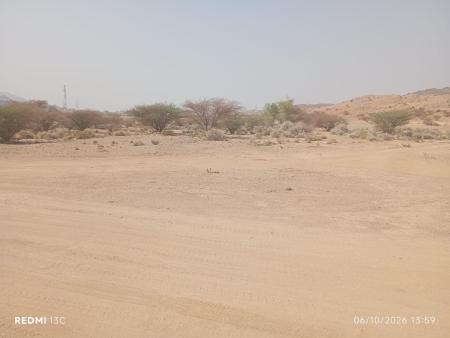 للبيع ارض سكينة في العامرات بعي وادي السيرين