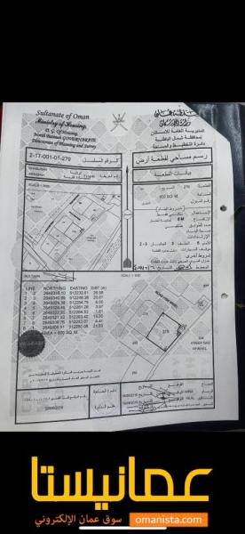 ارض عباسه الموقع ممتاز