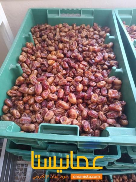 للبيع تمر خلاص منقاي وجاهز كل سله ٢٠ك وزياده المطلوب للسله ١٣ريا