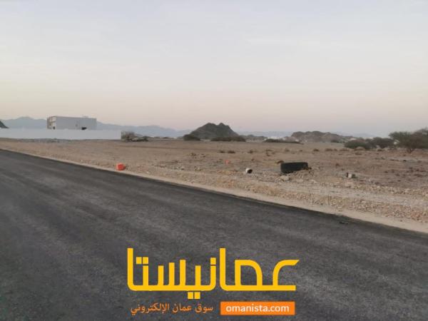 ارضين شبك العامرات الامتداد الاول