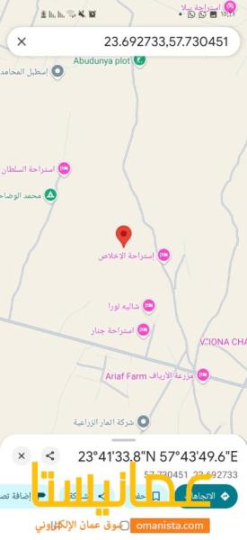 القريحه الجديده فرصه