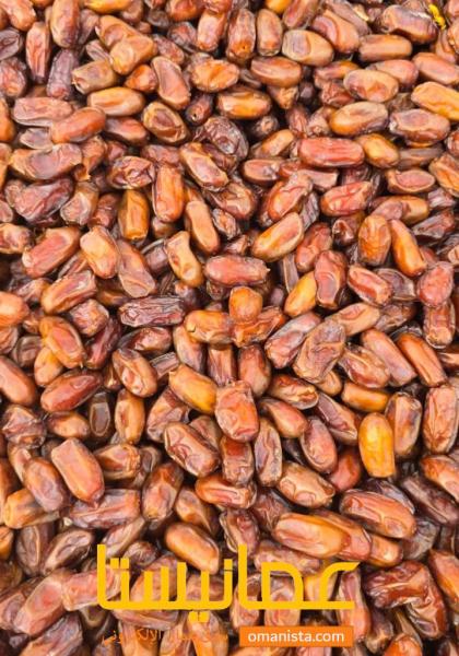 تمور متنوعه للبيع