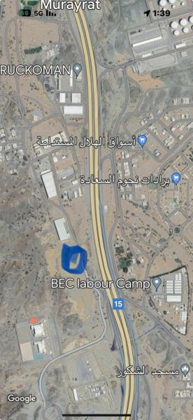 السيب